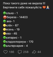 522x558