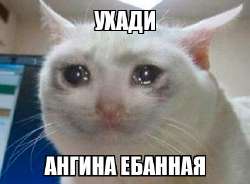 426x314