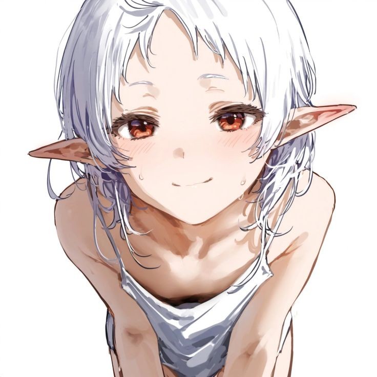 736x736