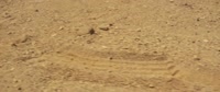 1280x540