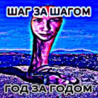 736x736
