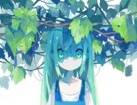 3426x2623