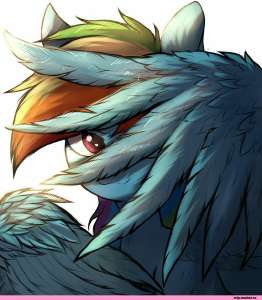 811x926