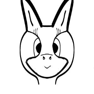 800x800
