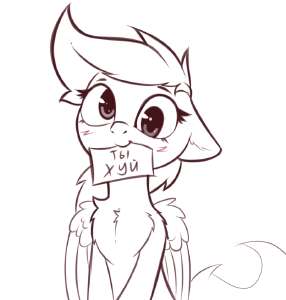 741x776