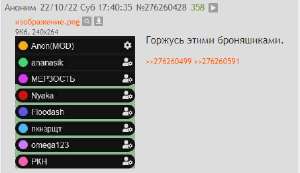 453x262