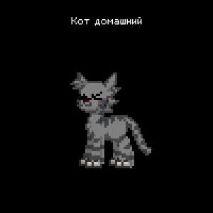 400x400