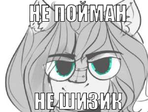 495x376