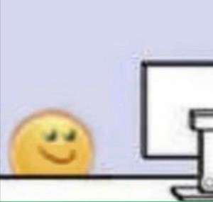 300x285
