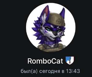 446x376