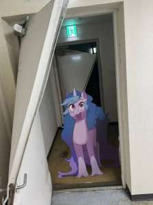 957x1280