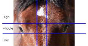 600x315