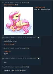 543x745