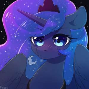 736x736