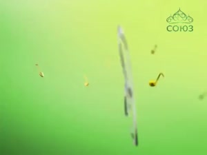 480x360