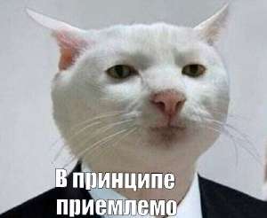 500x411