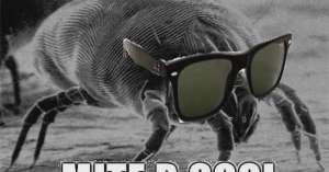 600x315
