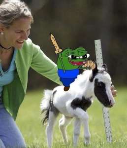 522x605