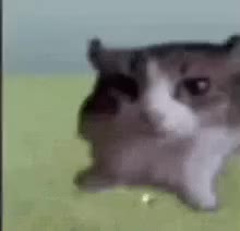 220x212