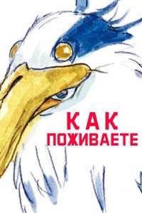 400x600
