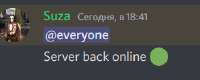 294x118