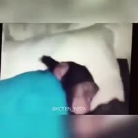 360x360