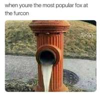 1080x1013
