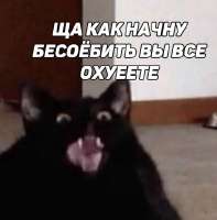 419x425