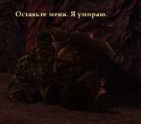 544x480