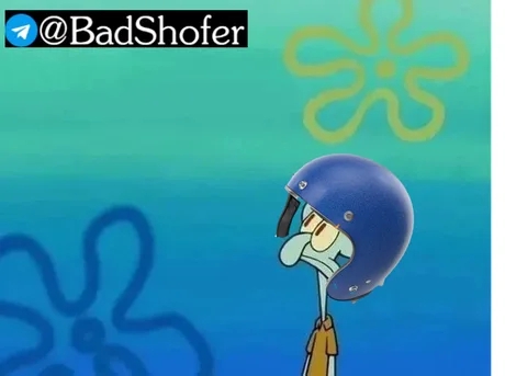 460x343