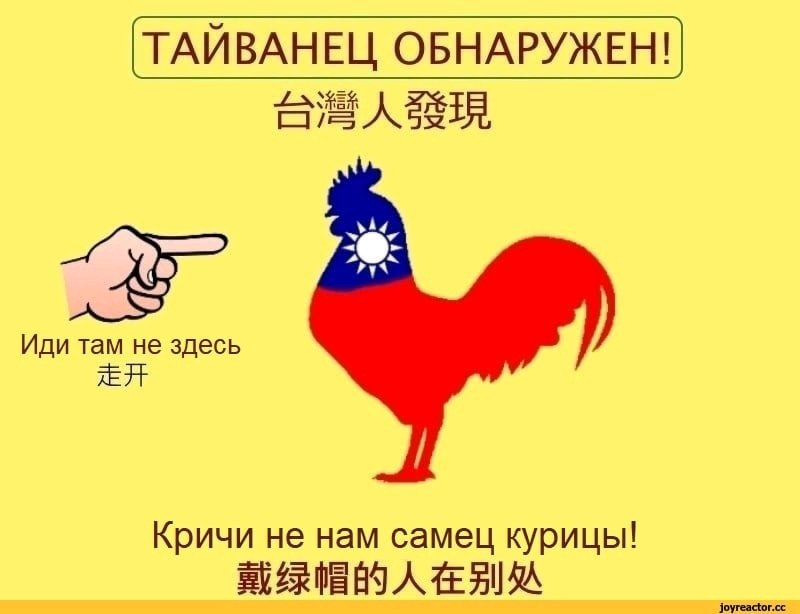 800x614