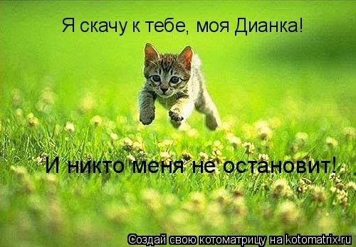 500x347