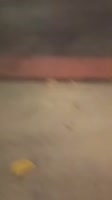 480x854
