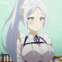 736x736