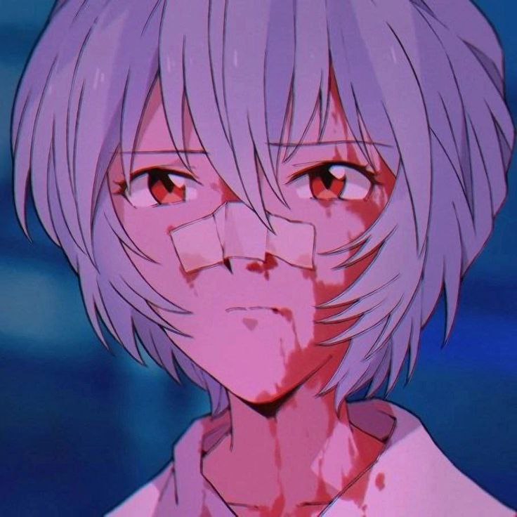 736x736