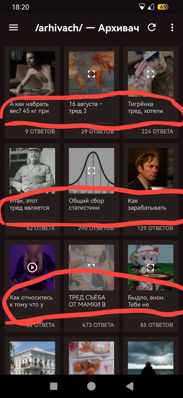 590x1280