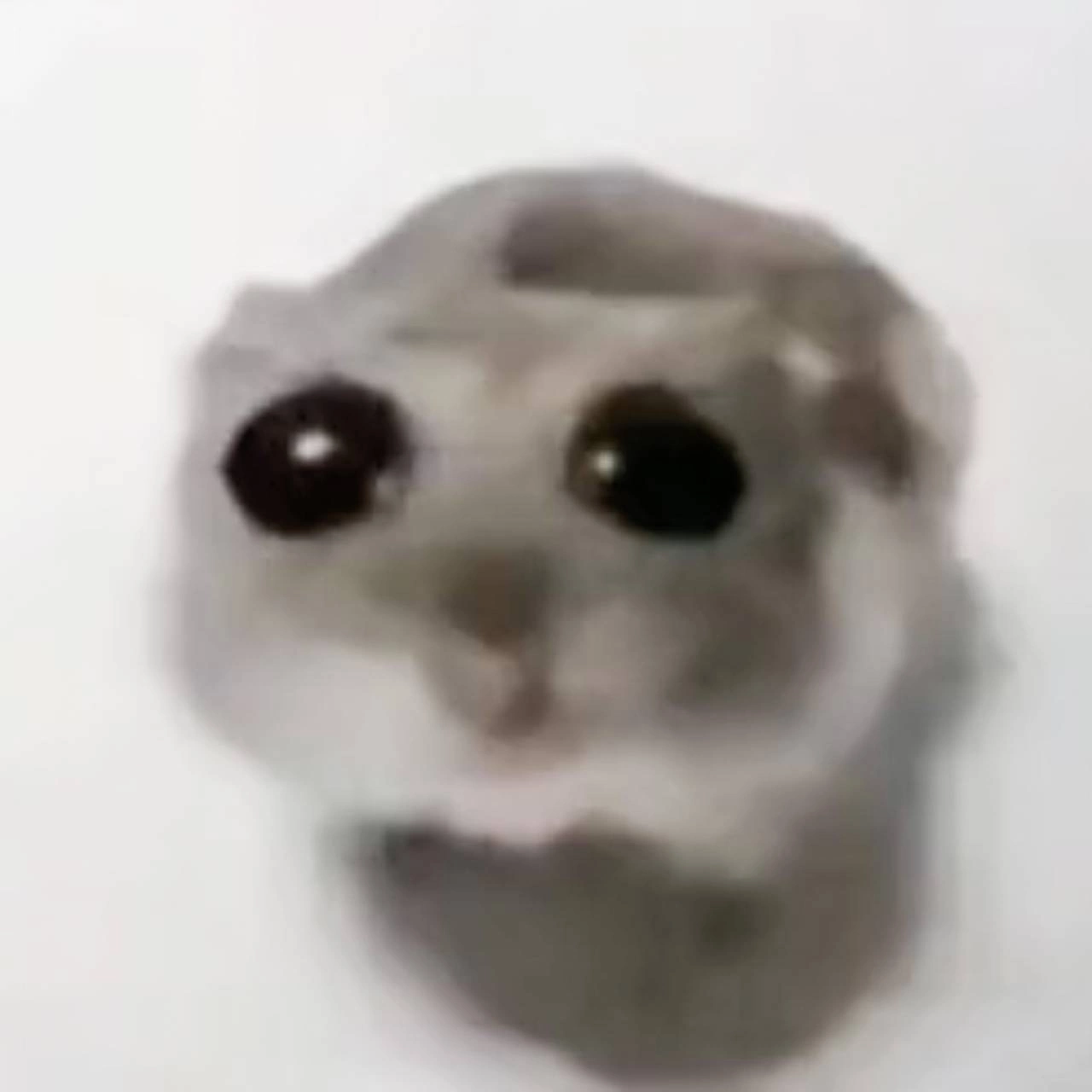1280x1280