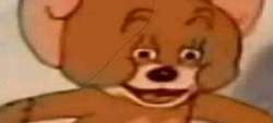 1200x546