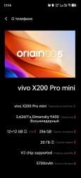 590x1280