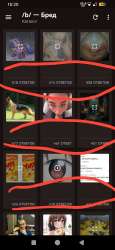 590x1280