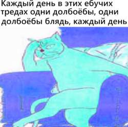 500x496