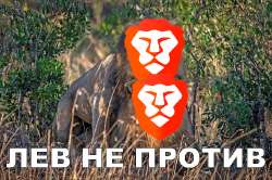 660x440