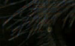 407x251