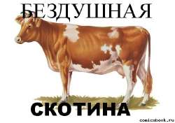595x420