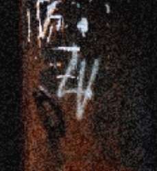 295x321