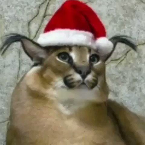 480x480