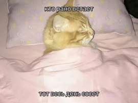 1080x810