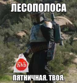 598x644