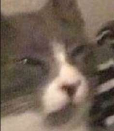 279x318