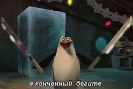 500x338
